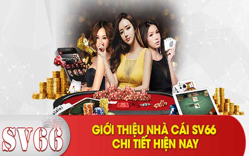 giới thiệu sv66